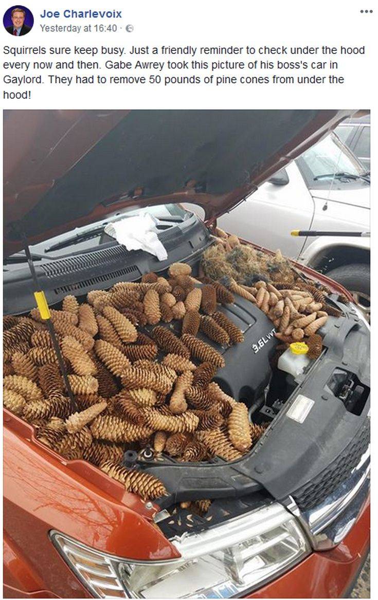 Clipboard01 Clipboard01