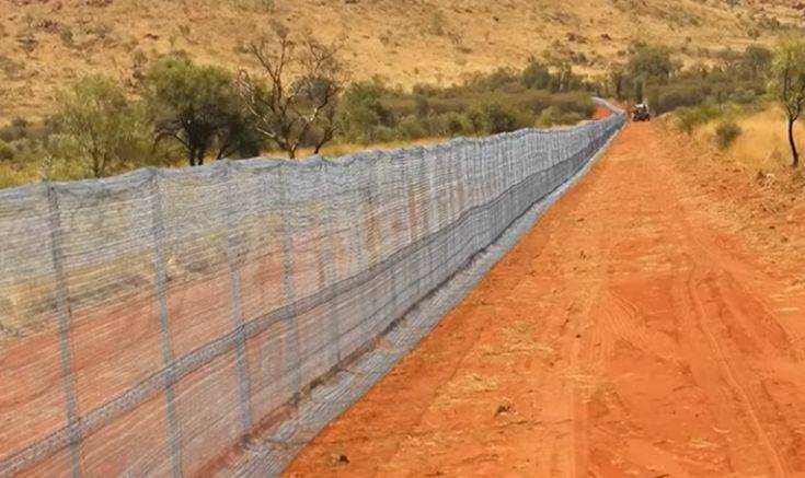 Ο μεγαλύτερος φράχτης στον κόσμο φτιάχτηκε για να προστατεύει από… τις αγριόγατες