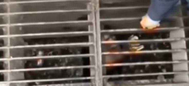 Clipboard03 Clipboard03