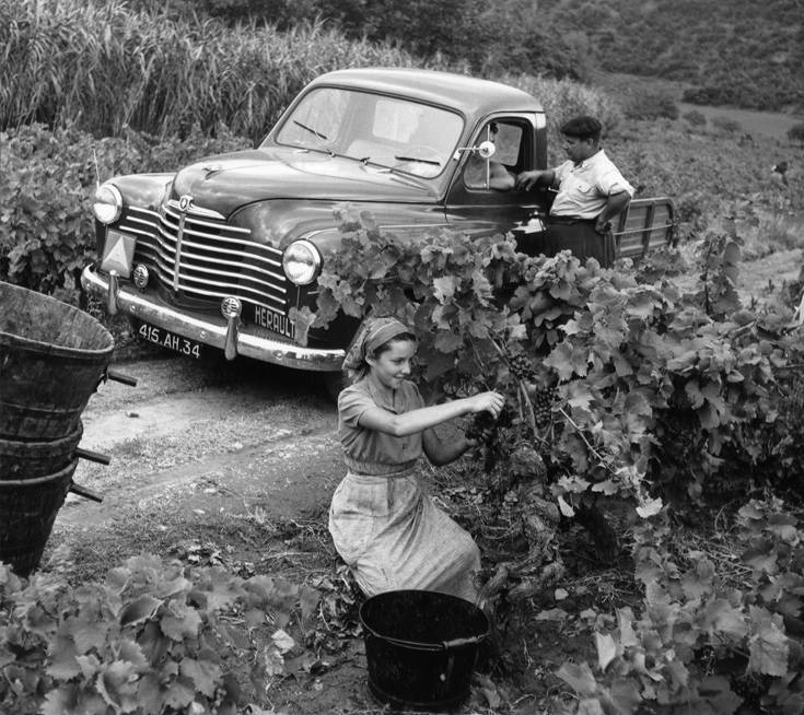 RenaultCOLORALE1 RenaultCOLORALE1