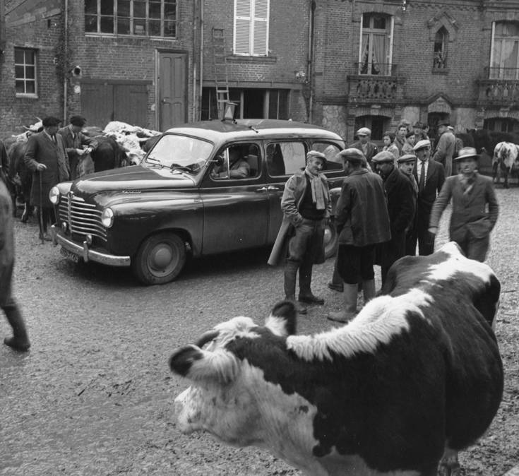 RenaultCOLORALE3 RenaultCOLORALE3