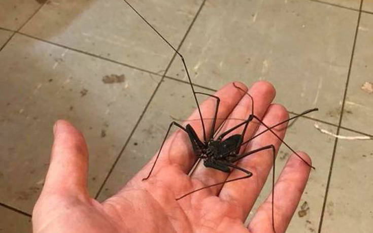 bathroom_decor_02 bathroom_decor_02