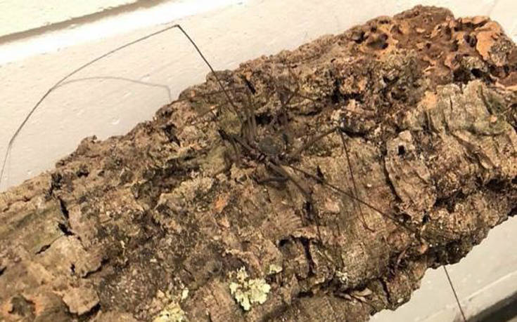 bathroom_decor_03 bathroom_decor_03