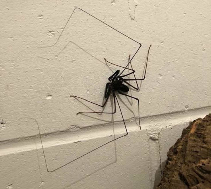 bathroom_decor_04 bathroom_decor_04