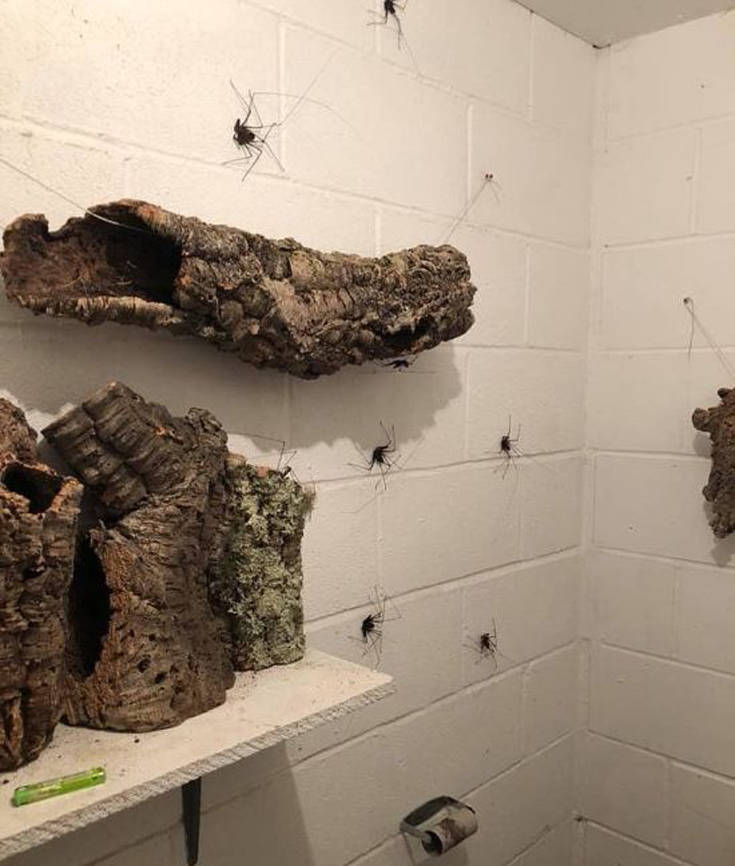 bathroom_decor_05 bathroom_decor_05