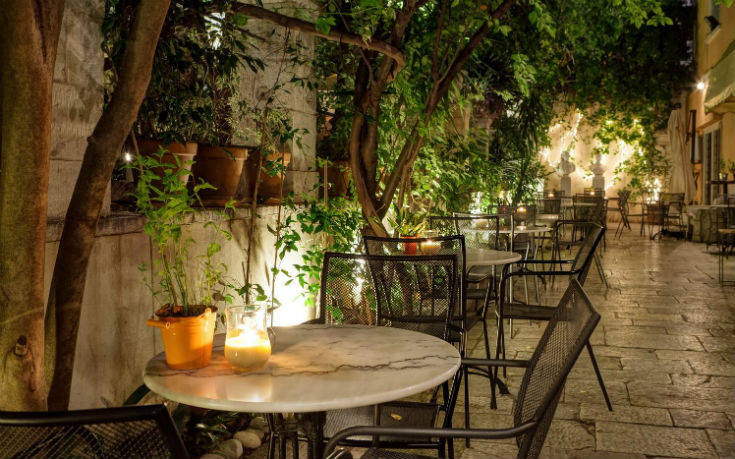 blackduckgarden_ok blackduckgarden_ok