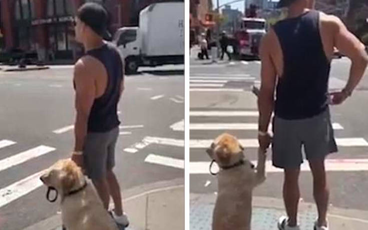 Σκύλος και ιδιοκτήτης κρατιούνται χέρι-χέρι για να περάσουν μαζί τον δρόμο