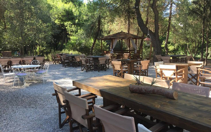 kipofthegarden_ok kipofthegarden_ok