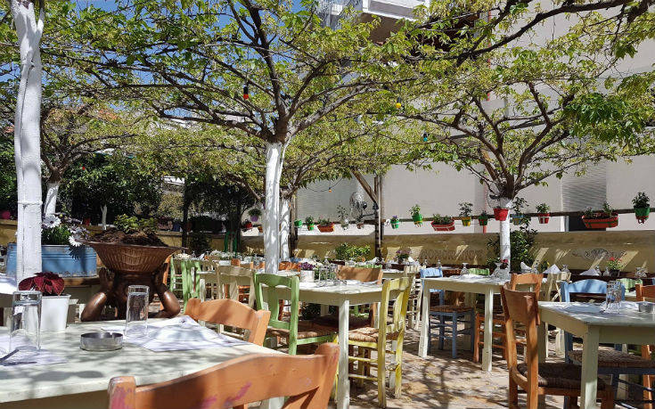 lemonokipos_ok lemonokipos_ok