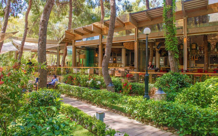 piuverde_ok piuverde_ok