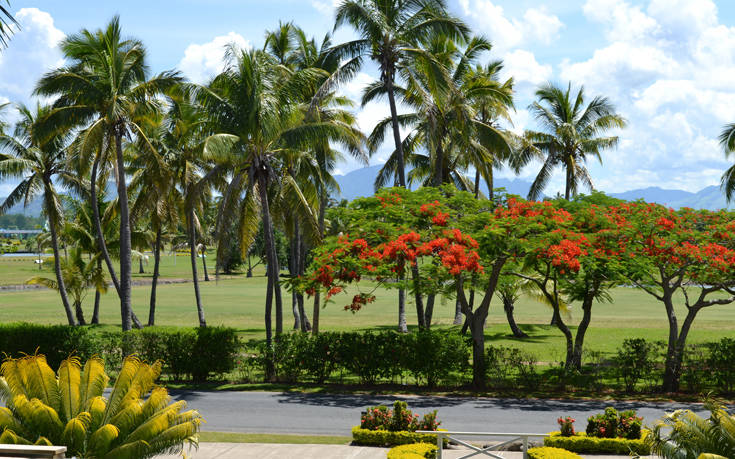 ΒΙΤΙ ΛΕΒΟΥ ΦΙΤΖΙ