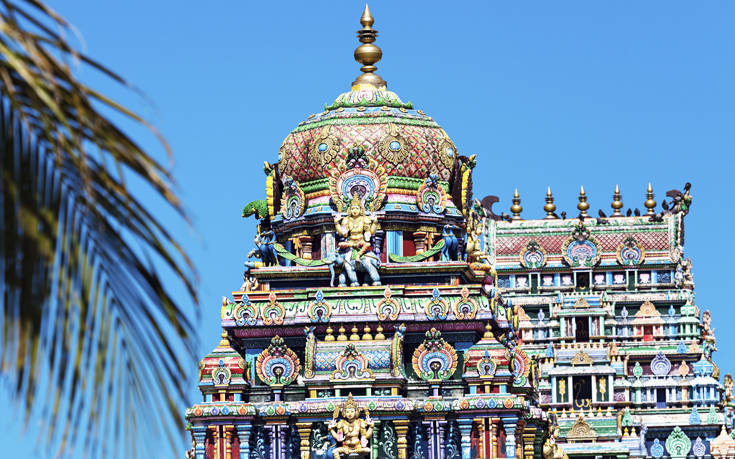 ΒΙΤΙ ΛΕΒΟΥ ΦΙΤΖΙ