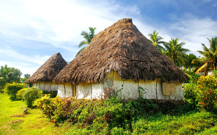 ΒΙΤΙ ΛΕΒΟΥ ΦΙΤΖΙ