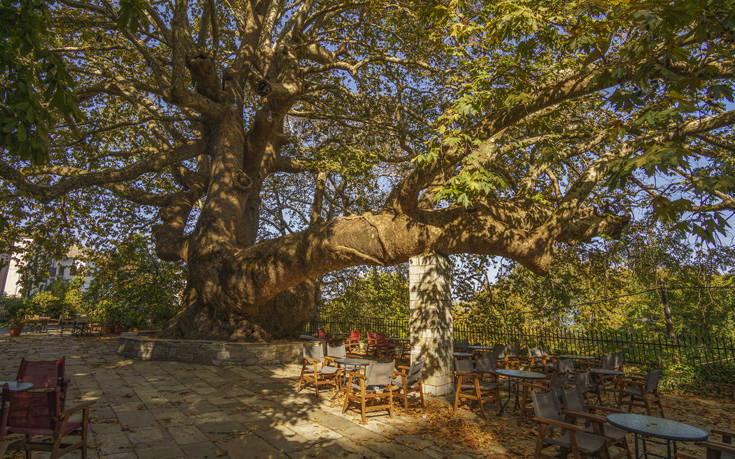 ΤΣΑΓΚΑΡΑΔΑ ΤΣΑΓΚΑΡΑΔΑ