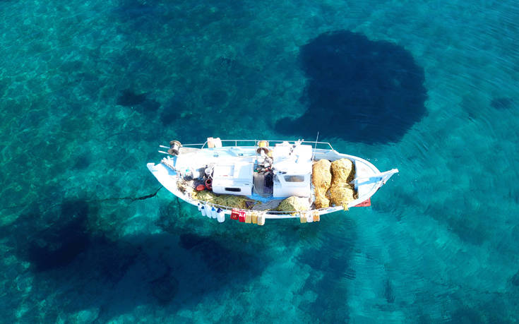 ΘΑΛΑΣΣΑ ΘΑΛΑΣΣΑ