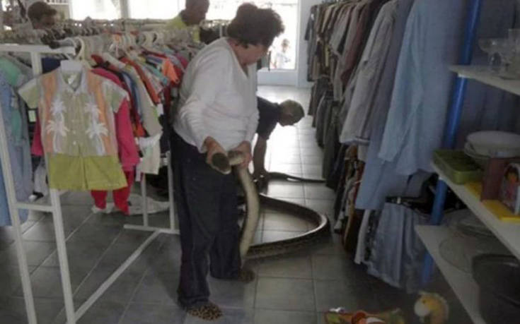 Έτσι είναι κάπως μια καθημερινή στην Αυστραλία