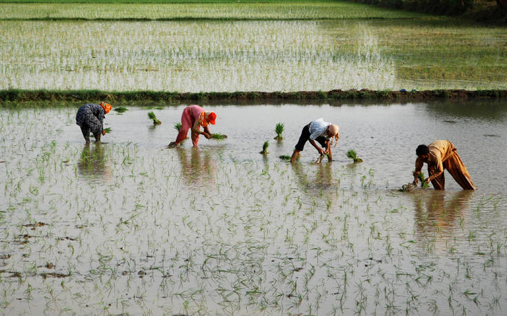 120706114648 120706114648