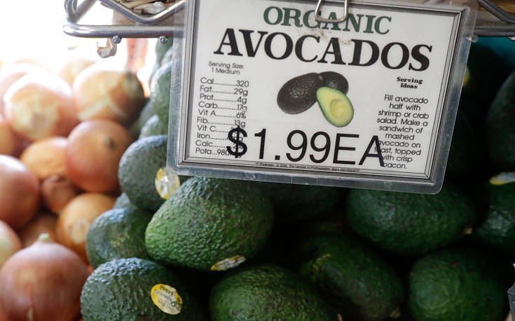 18092849235448 18092849235448