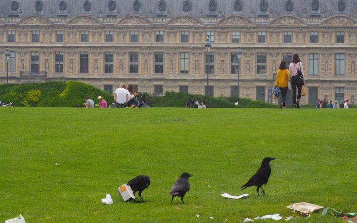 Οι μισοί Παριζιάνοι θεωρούν το Παρίσι βρώμικο