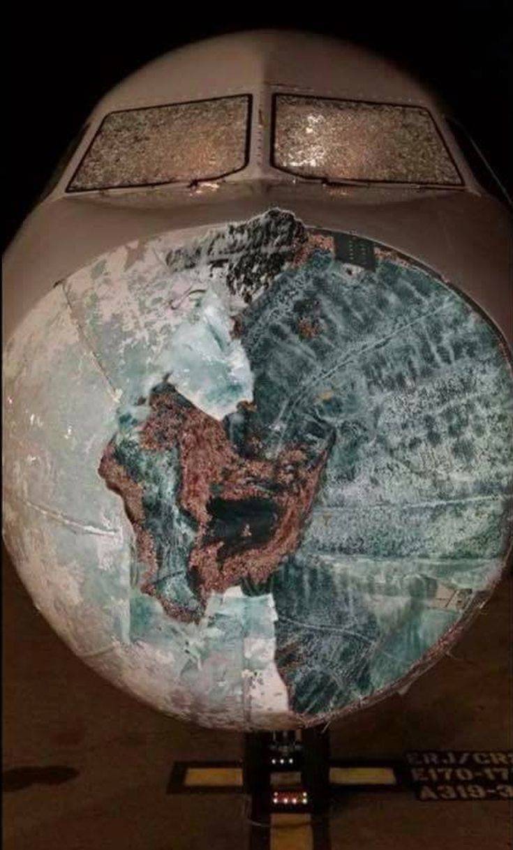 34533771_2583619528530928_1964711172984799232_n 34533771_2583619528530928_1964711172984799232_n