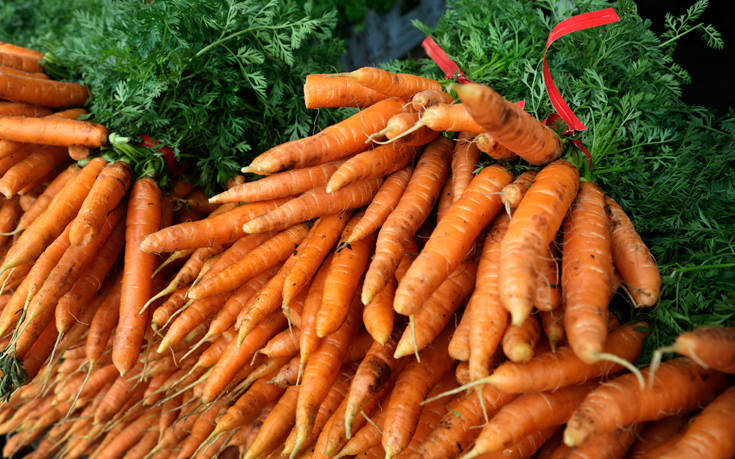 403958292290 403958292290