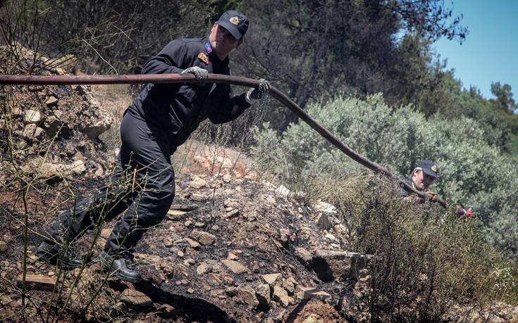ΠΥΡΚΑΓΙΑ ΑΛΣΟΣ ΣΥΓΓΡΟΥ