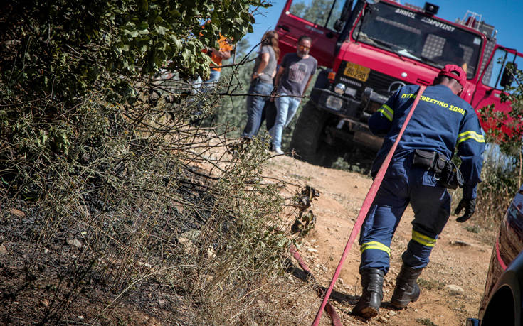 Υπό μερικό έλεγχο η πυρκαγιά στις Μελαμπές Ρεθύμνου