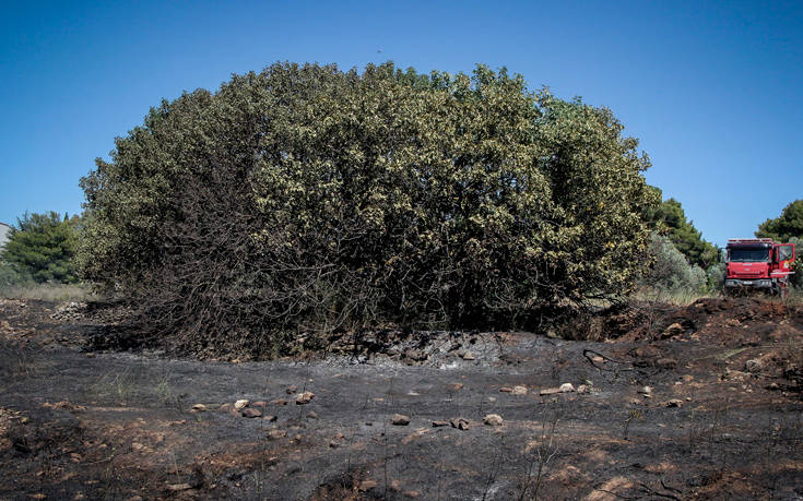 ΠΥΡΚΑΓΙΑ ΑΛΣΟΣ ΣΥΓΓΡΟΥ