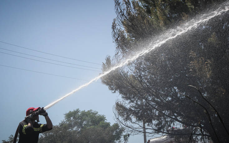 Πυρκαγιά στο Μητροπήσι του δήμου Λαυρεωτικής