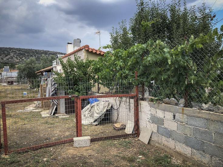 ÓÕËËÇØÇ ÓÔÏ ÊÏÑÙÐÉ ÅÍÏÓ ÁÐÏ ÔÏÕÓ ÔÑÅÉÓ ÄÑÁÐÅÔÅÓ ÁÐÏ ÔÏ ÁÓÔÕÍÏÌÉÊÏ ÔÌÇÌÁ ÁÑÃÕÑÏÕÐÏËÇÓ(EUROKINISSI/ÓÔÅËÉÏÓ ÌÉÓÉÍÁÓ) ÓÕËËÇØÇ ÓÔÏ ÊÏÑÙÐÉ ÅÍÏÓ ÁÐÏ ÔÏÕÓ ÔÑÅÉÓ ÄÑÁÐÅÔÅÓ ÁÐÏ ÔÏ ÁÓÔÕÍÏÌÉÊÏ ÔÌÇÌÁ ÁÑÃÕÑÏÕÐÏËÇÓ(EUROKINISSI/ÓÔÅËÉÏÓ ÌÉÓÉÍÁÓ)