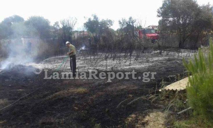 Έσβησαν φωτιά λίγο πριν μπει σε αυλές σπιτιών στη Φθιώτιδα