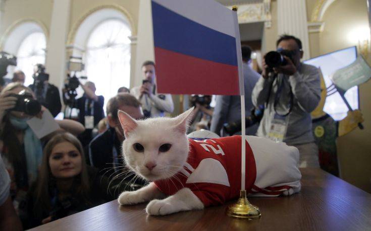 Ο γάτος Αχιλλέας προβλέπει πάλι νίκη της Ρωσίας