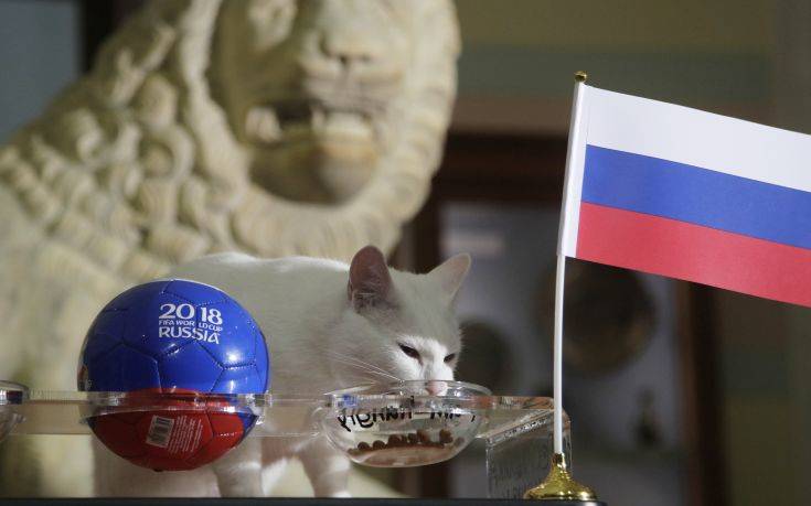 ΓΑΤΟΣ ΑΧΙΛΛΕΑΣ ΓΑΤΟΣ ΑΧΙΛΛΕΑΣ