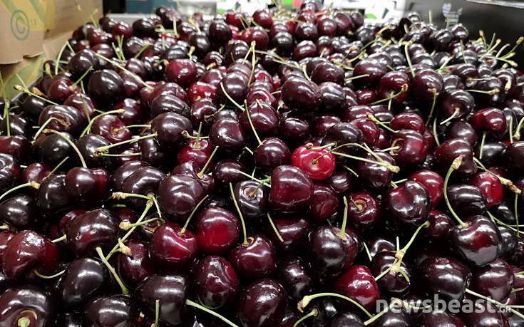 IMG_20180622_110008 IMG_20180622_110008