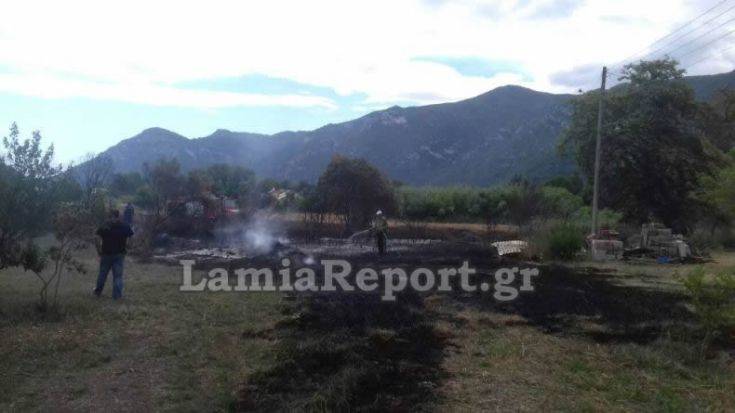 IMG_2679(1) IMG_2679(1)