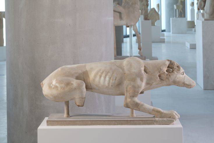 Το κυνηγετικό σκυλί της Ακρόπολης από το 520 π.Χ.