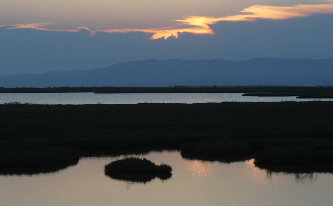 Η αποθέωση της φύσης στο δέλτα του Έβρου