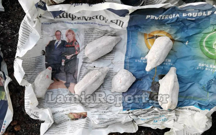 gvfhdoigh2 gvfhdoigh2