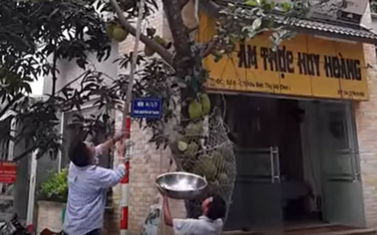 Πήγε για φρέσκο φρούτο και έφυγε με καρούμπαλο