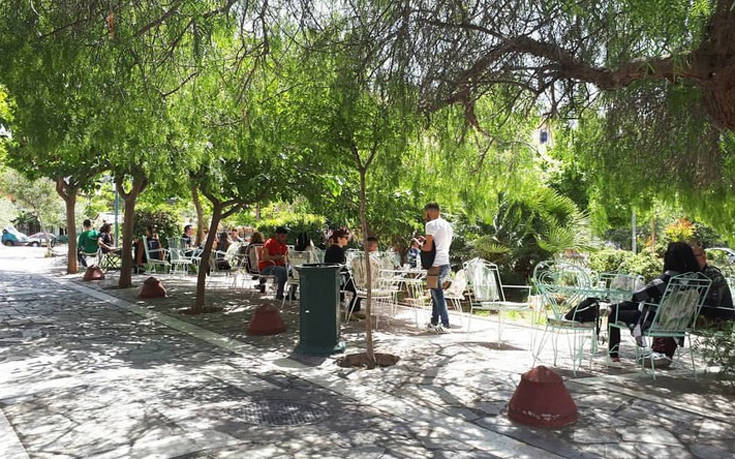 mple_papagalos mple_papagalos