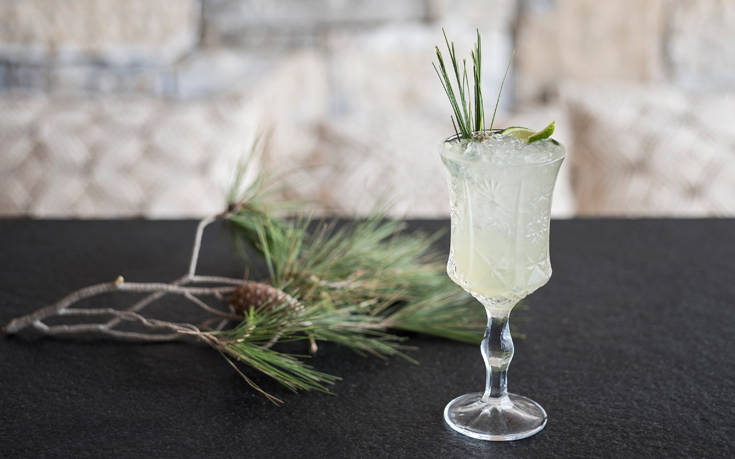 nice_n_easy_Astir-Pine-Needle nice_n_easy_Astir-Pine-Needle