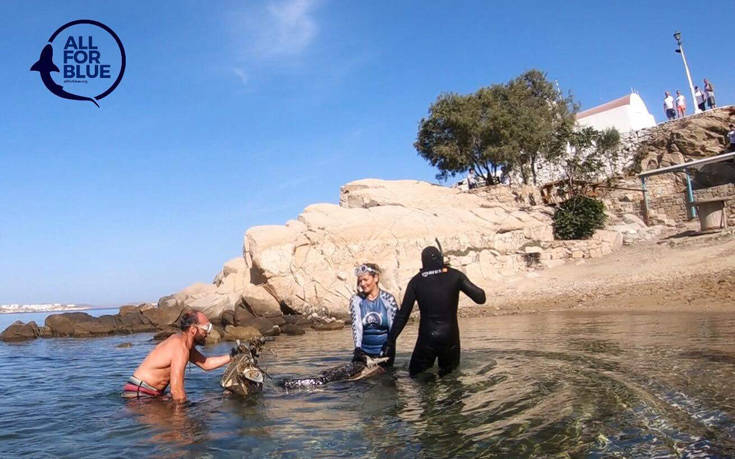 parlakath5 parlakath5