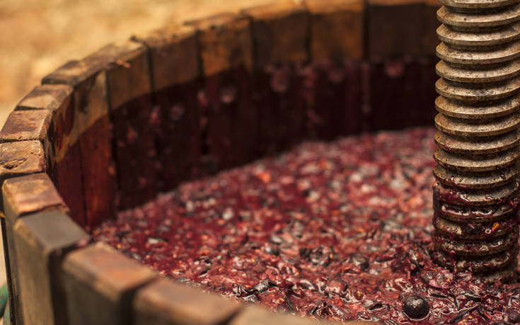 Ανακαλύφθηκαν αρχαία πατητήρια από τη Βυζαντινή Περίοδο