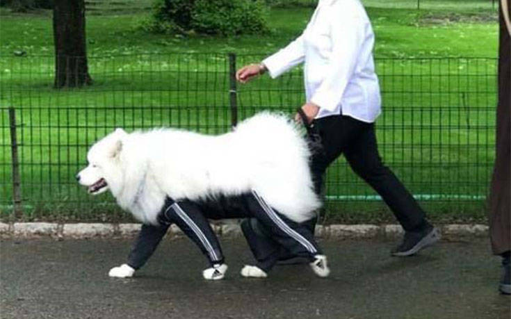 Ρωσία είναι αυτή