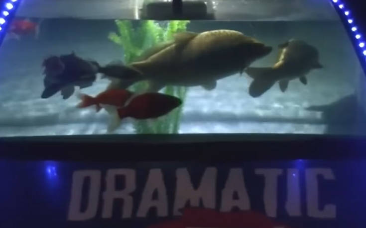 Μετέτρεψε το αυτοκίνητό του σε ενυδρείο