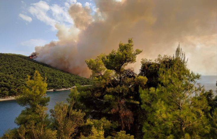 Μεγάλη πυρκαγιά καίει πεύκα στον Αμάραντο Σκοπέλου