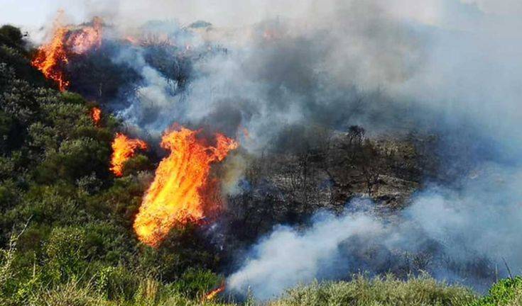Σε εξέλιξη δυο νέες δασικές πυρκαγιές στη Ζάκυνθο