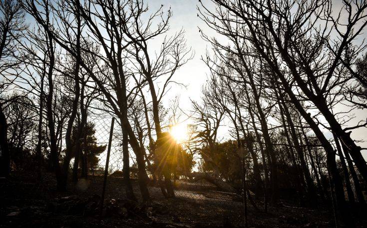 «Οφείλουμε να ζητήσουμε μία ειλικρινή συγγνώμη»