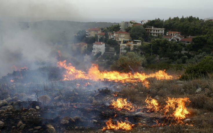 Λαμπίρη, Σαπουντζάκη και άλλοι γνωστοί που έχασαν τα σπίτια τους στις φωτιές στην Αττική