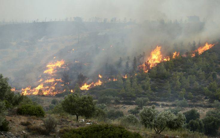 Σε ασφαλή σημεία στην παραλία του Αγίου Ανδρέα τα παιδιά των κατασκηνώσεων